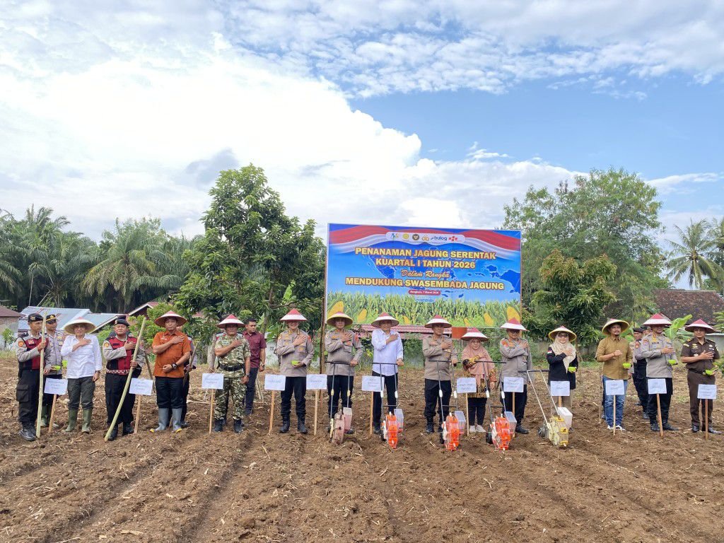 WhatsApp Image 2026-03-08 at 19.09.18